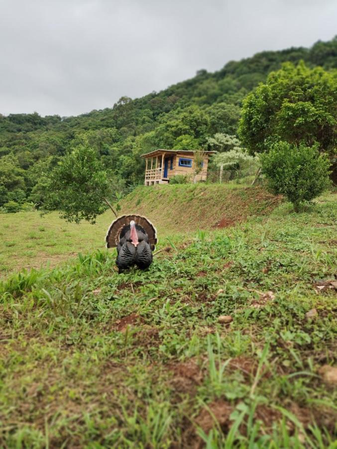 Willa Bangalo Dos Aracas - Sitio Vo Haack Gramado Zewnętrze zdjęcie